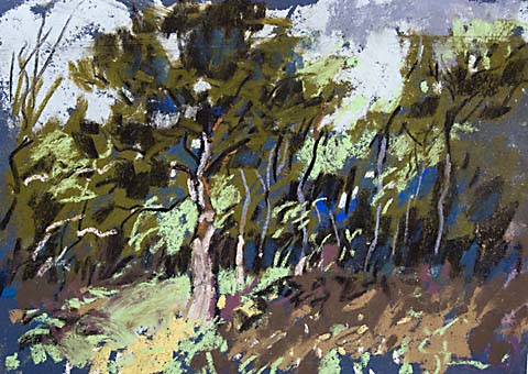 pastel painting in the forest trees